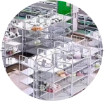 倉儲環(huán)節(jié)